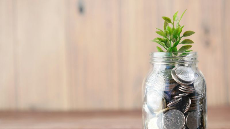 Money Market Savings Image